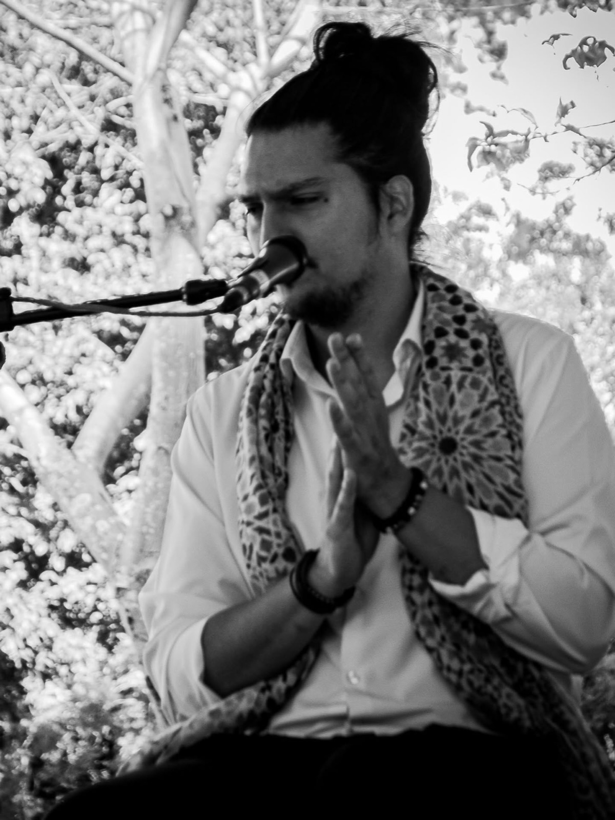 Cante